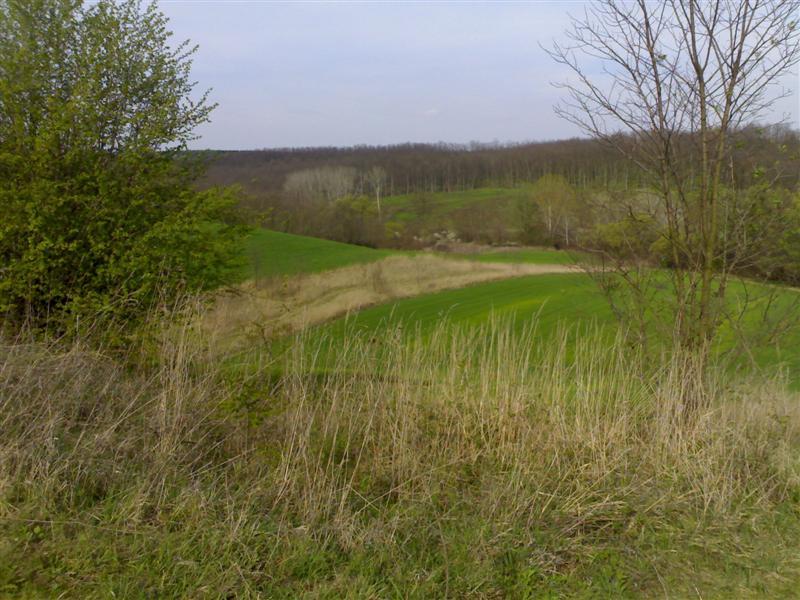200704091746 .jpg